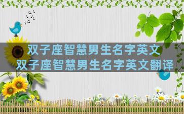 双子座智慧男生名字英文 双子座智慧男生名字英文翻译